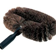TETE DE LOUP OVALE
